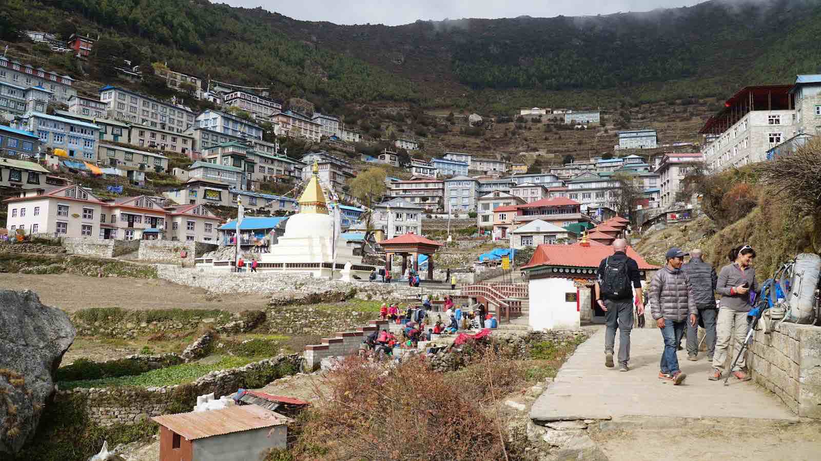 Namche: a pretty decently sized town carved right into the side of a mountain