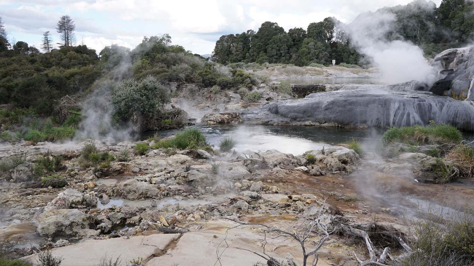 There was a park in Rotorua there called Te Puia which had a ton of hotspots like this