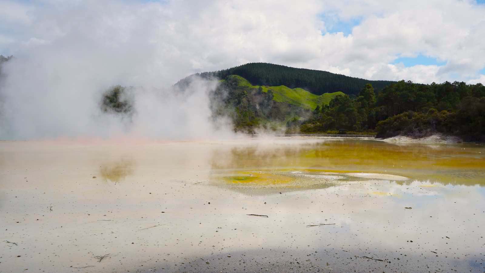 There were large swaths of boiling water like this all over Wai-o-tapu, often with different colors of green, yellow, orange, brown, like someone spilled paint in a lake