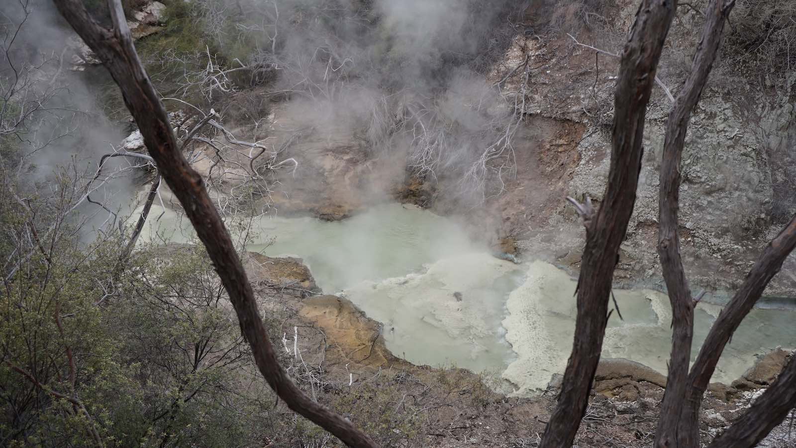 Sulfur dyed rivers and pools at Waiotapu. And steam venting out of everywhere around Rotorua
