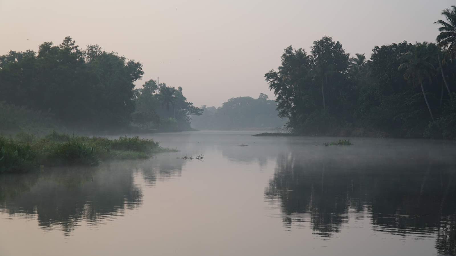 The view from the boat was incredible, we were headed down a misty river before sunrise.