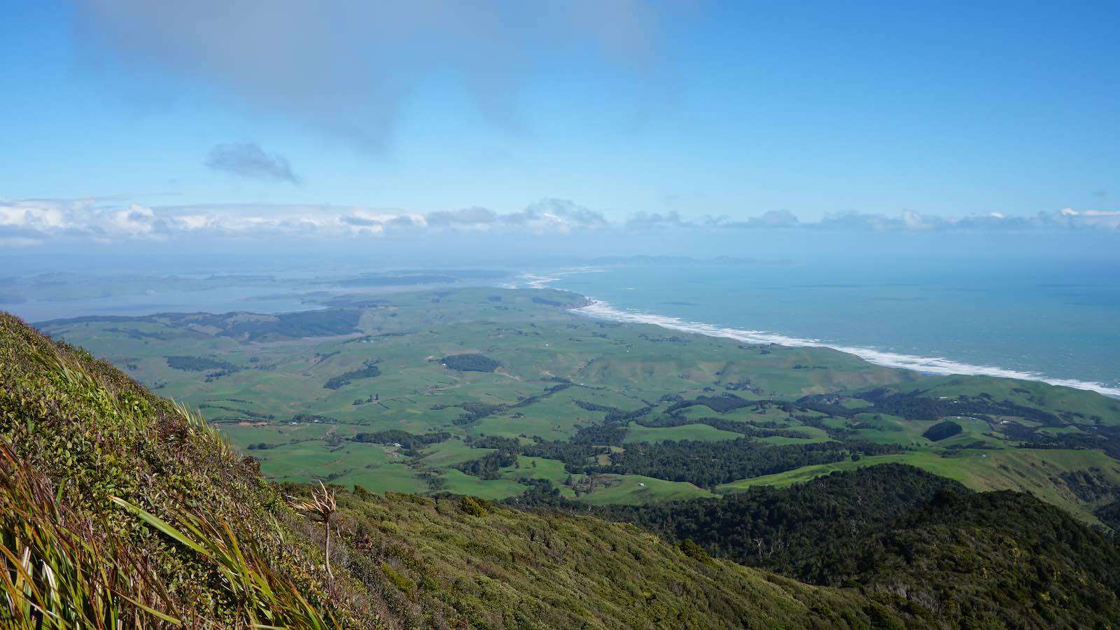Still a long road ahead. I took this photo halfway up a dormant volcano outside of Raglan, New Zealand.