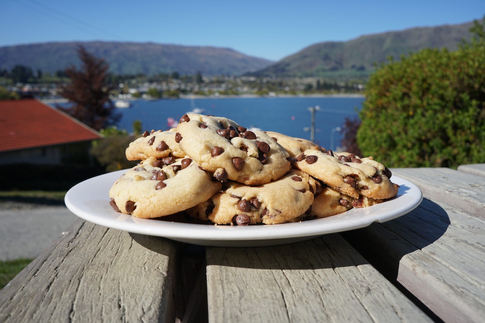 Can't always be healthy. I was nursing an injured leg in Wanaka, New Zealand for a couple days and couldn't do anything so I baked these bad boys and shared them with my hostel mates. Hostel already had sugar and I already had eggs and canola oil (which I used instead of butter, still turned out great). I just had to buy flour and chocolate chips, both very cheap.