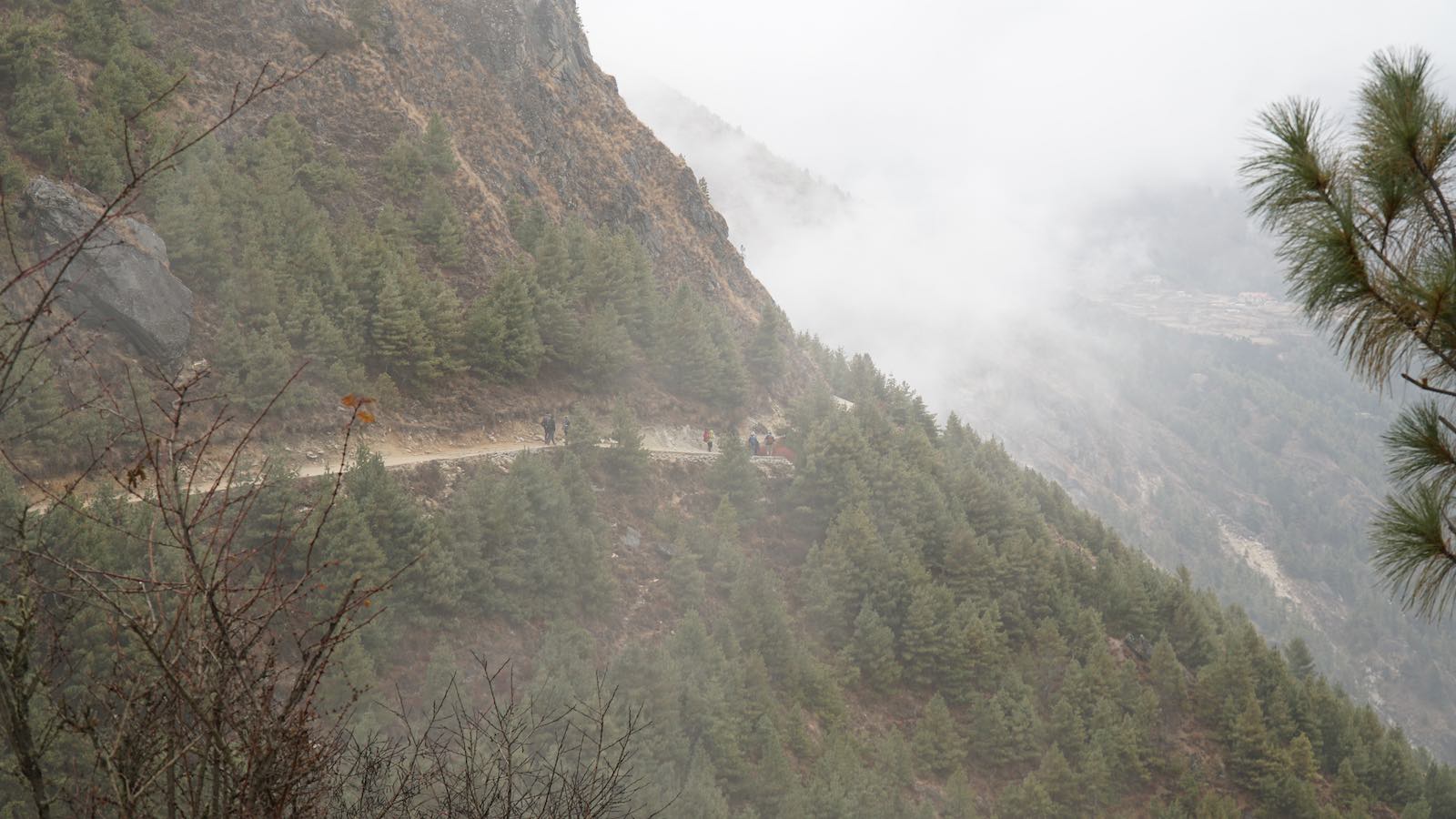 It was really foggy during this trek and the first half was along the slopes of a mountain, second half was steep switchbacks