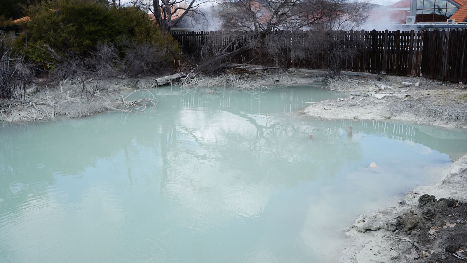 Random pool in the park colored by sulfur and some other minerals coming out of the ground