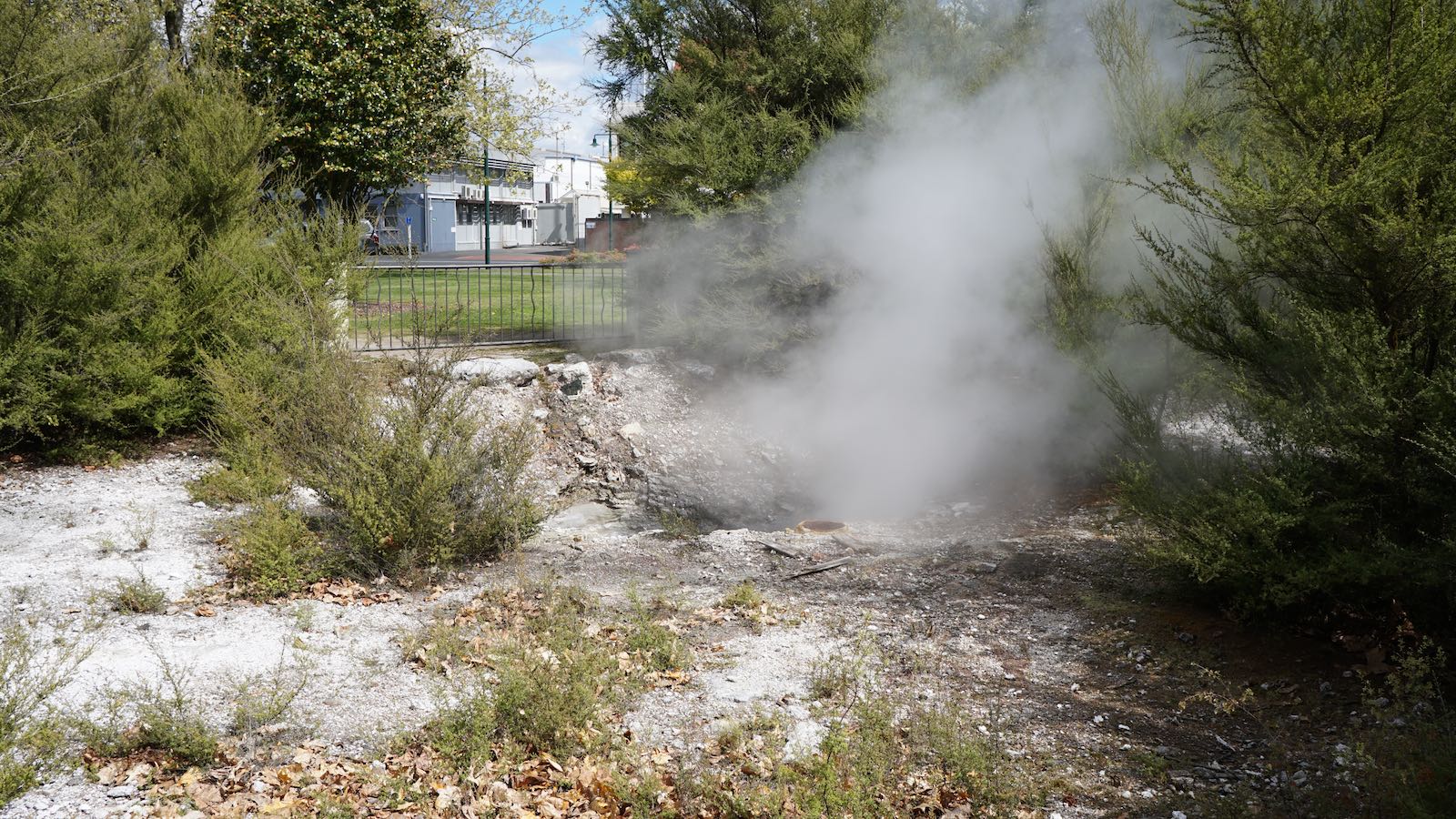 Stuff like this was normal and all over the place. I took a stroll around a small park a block away from my hostel and came across sulfur pools, holes with boiling water and steam vents. I even saw steam rising out of the sewers a few times