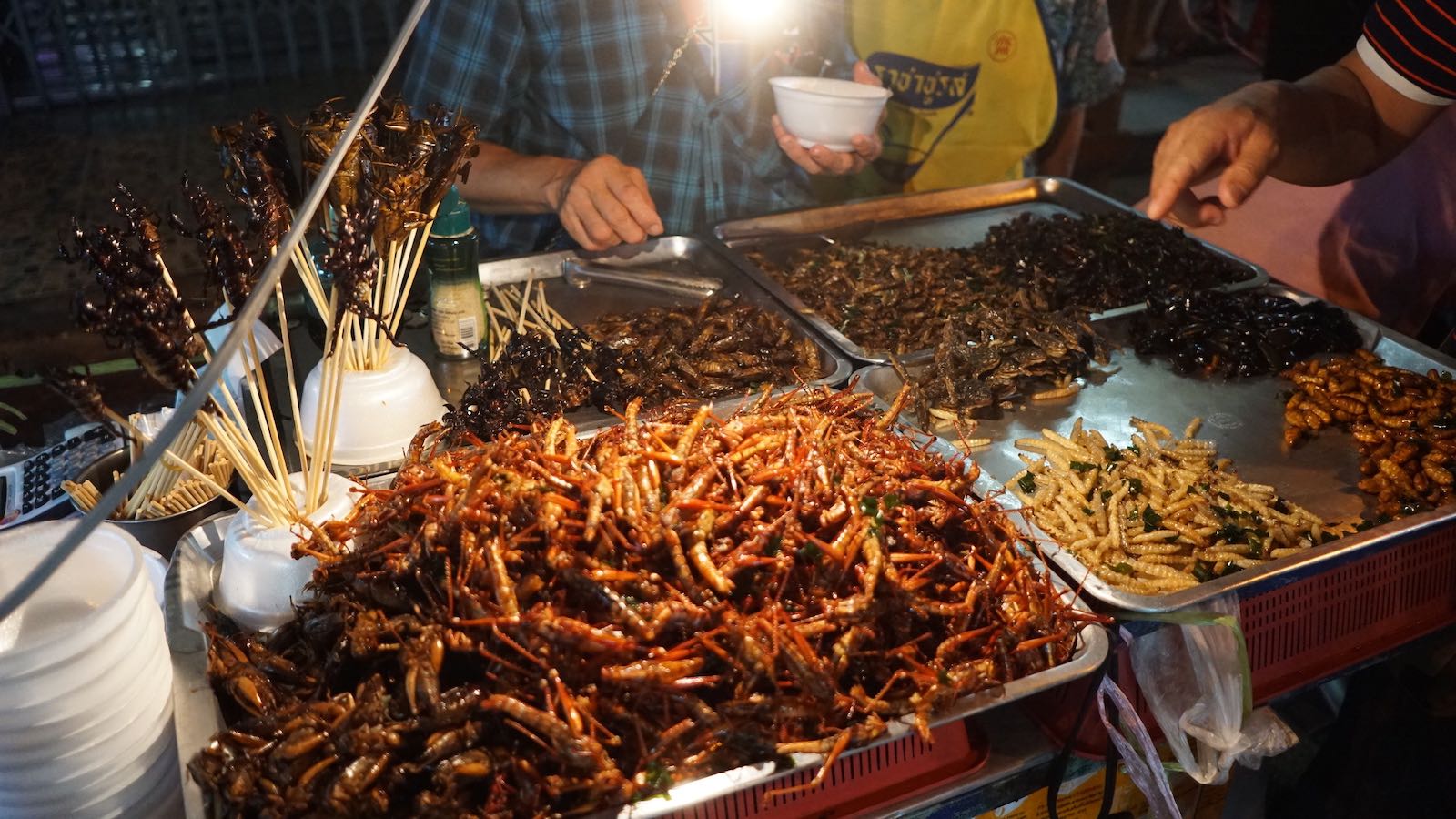 Bugs! (But really just the exact same tourist trap that you see in a lot of different countries in Asia.)