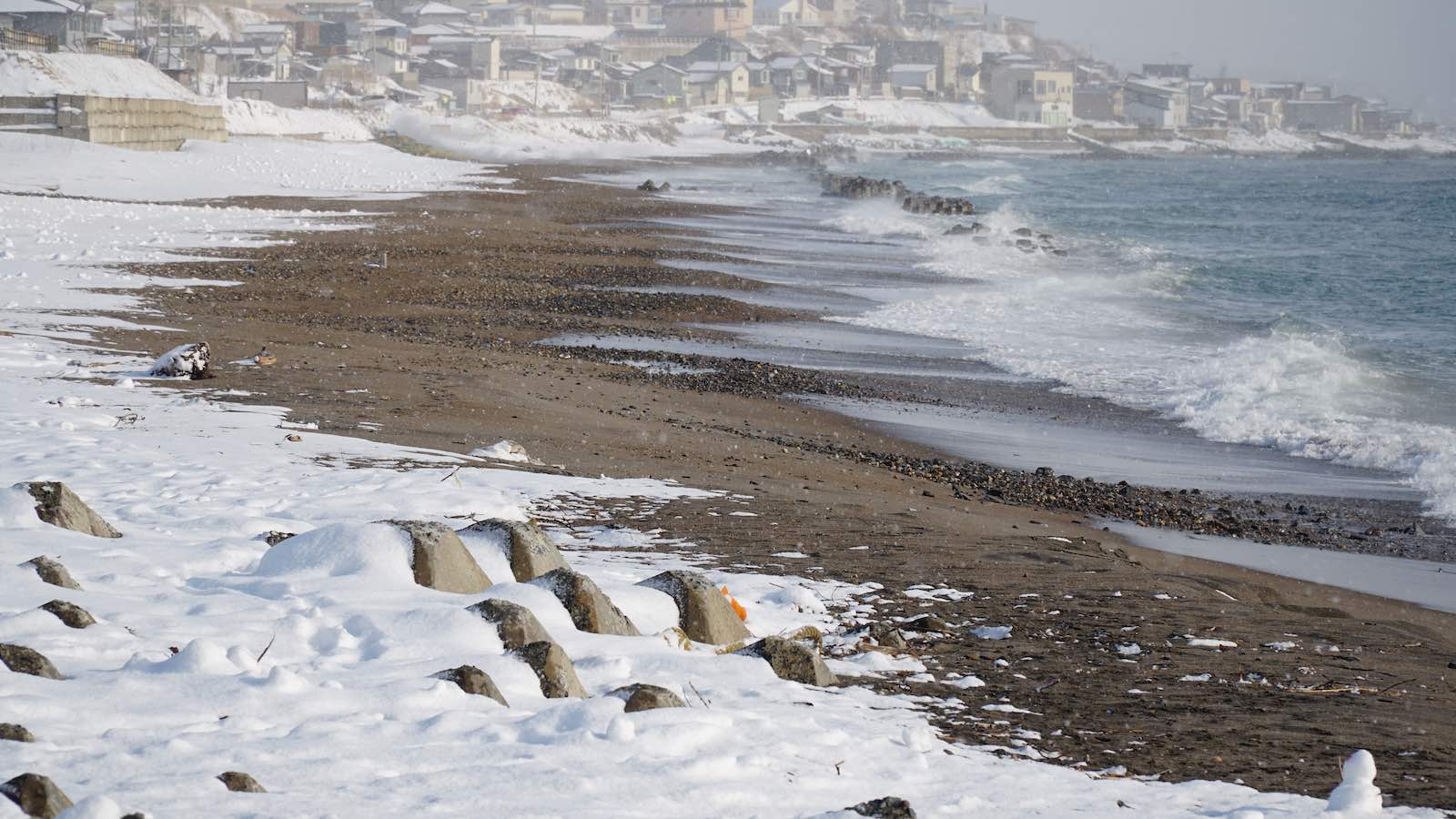 Walked along a snowy beach. It blew my mind as a Southern California person that it could snow at the beach.