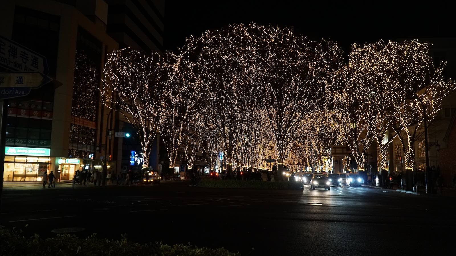 At night, the street right behind where I was staying was lit up with thousands of little LED lights adorning the branches of the barren trees along the road. It's a winter festival of sorts that happens each year in Sendai, it's loosely translated to: 'The Pageant of Starlight'. The lights stay on until midnight on New Years Eve.