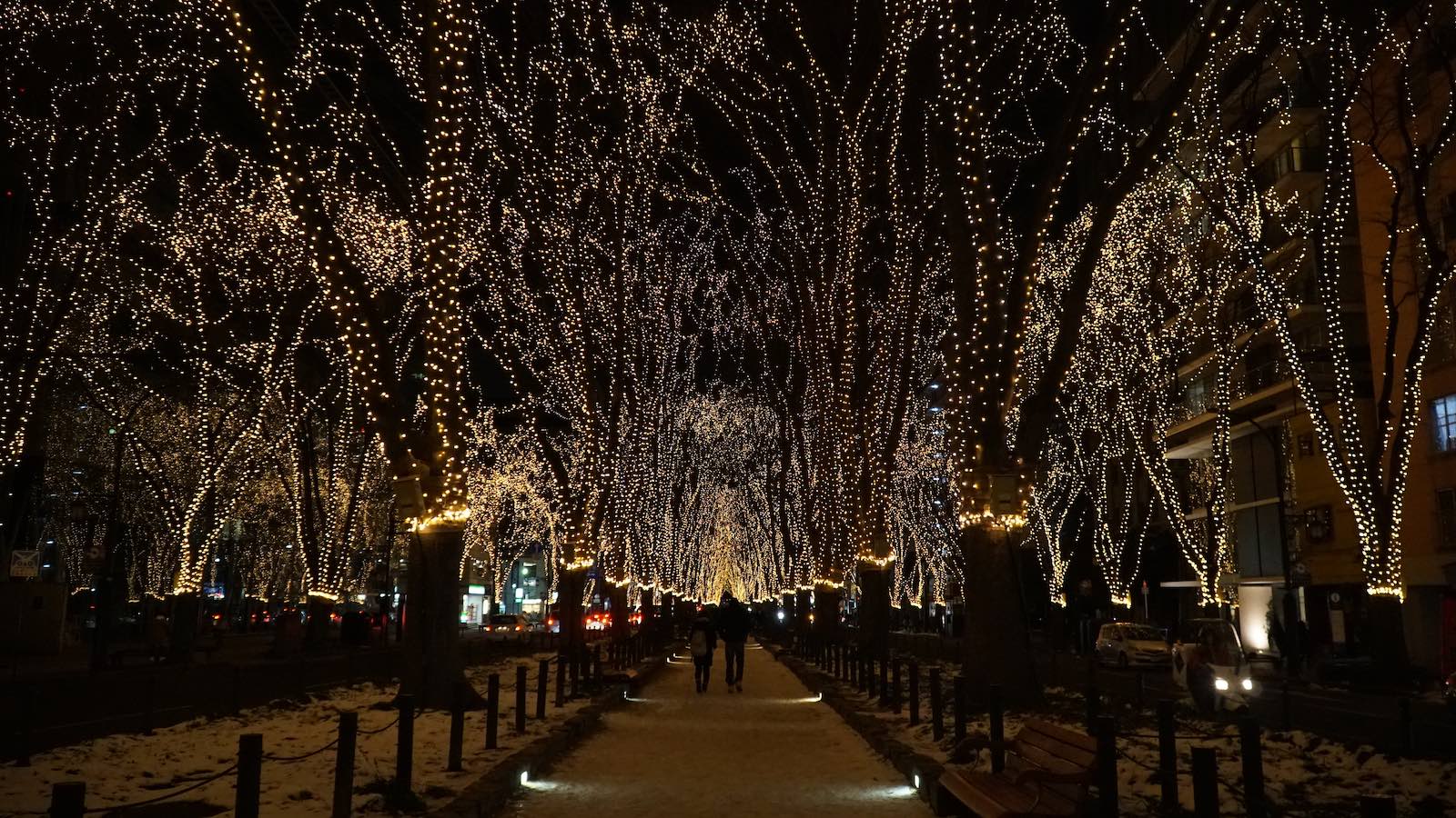 It was gorgeous walking through the tunnel of light created by the trees, especially with the snow on the ground softening the scene. It felt like something out of a romance movie. I spent a long time slowly walking up and down the street taking photos and taking it all in.
