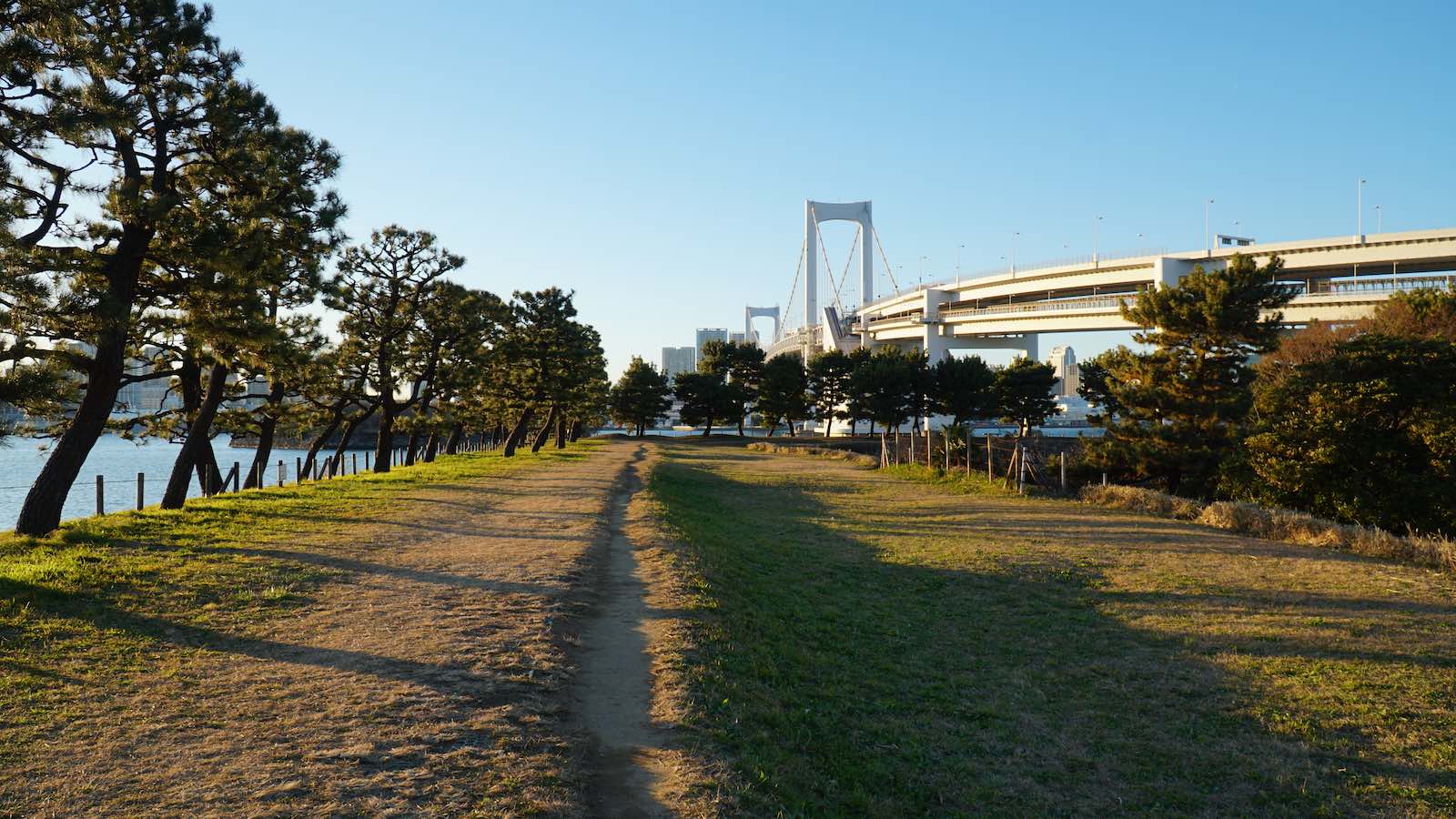 Got to Daiba Park and it felt like a completely different world. It's hard to believe that this peaceful and empty park is in the middle of one of the most populated cities in the world, and that an hour ago I was in the middle of the chaotically packed Comiket.