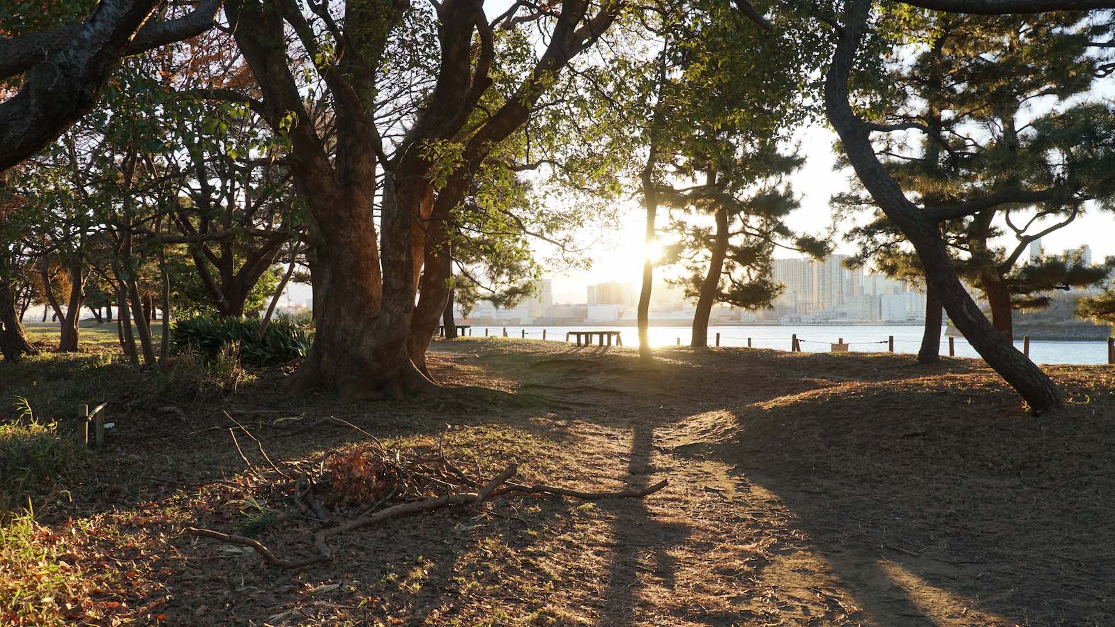 Caught the sunset over the city from this serene island park. It was a beautiful place to just slow down and take it all in. I remember my most prominent thought was that I could not believe I was here: having been on the road constantly for 4 months now and finding myself here in this beautiful little park on the other side of the world, in the middle of Tokyo, watching the sunset.