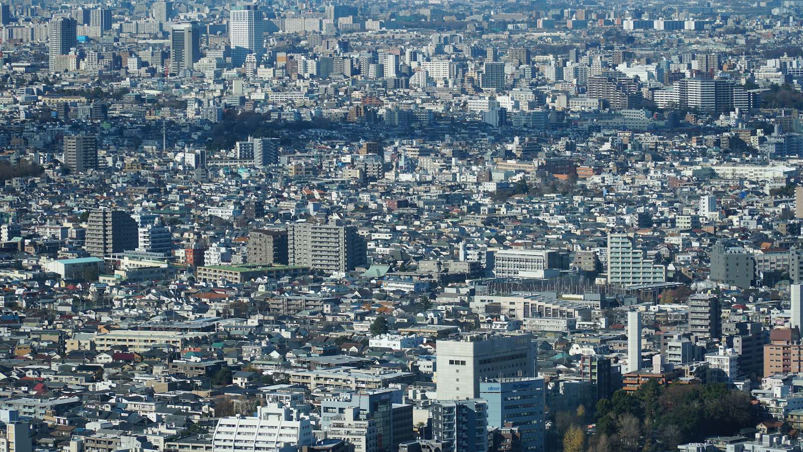 I wanted to see a view of Tokyo during the day, so I went up to the Tokyo Metropolitan Government Building for a free birds eye view. I read that the Greater Tokyo Area is the most populous metropolitan area in the world and it was really apparent from up here, with buildings densely packed as far as the eye can see.