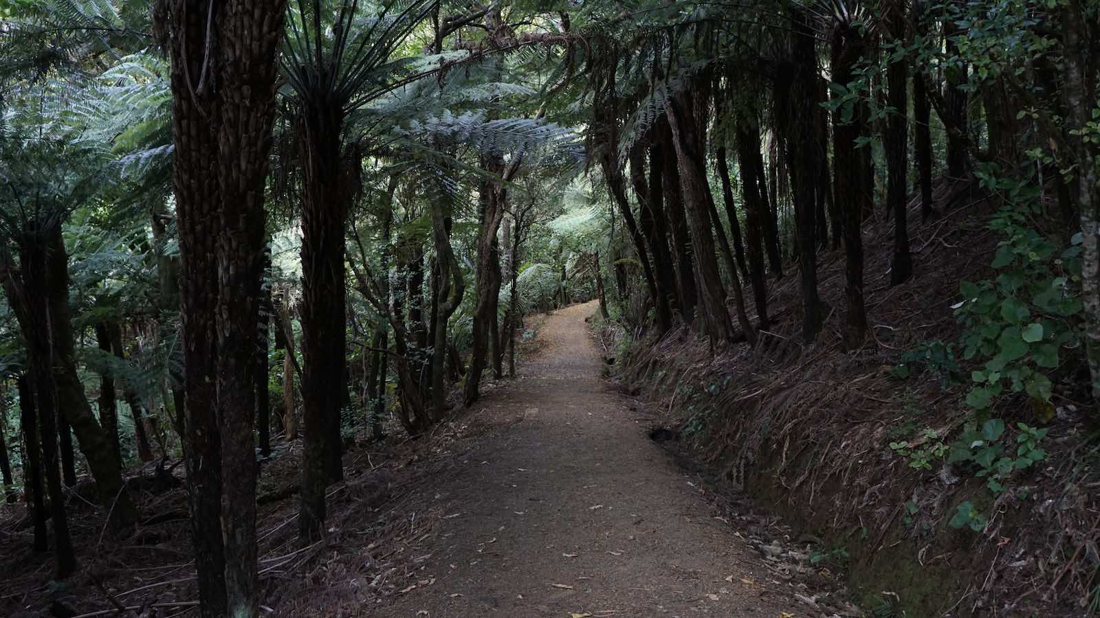 The trail to the beach
